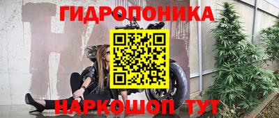 сатива Гагарин