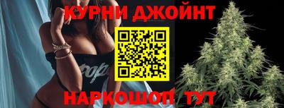 сатива Гагарин