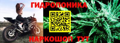 сатива Гагарин