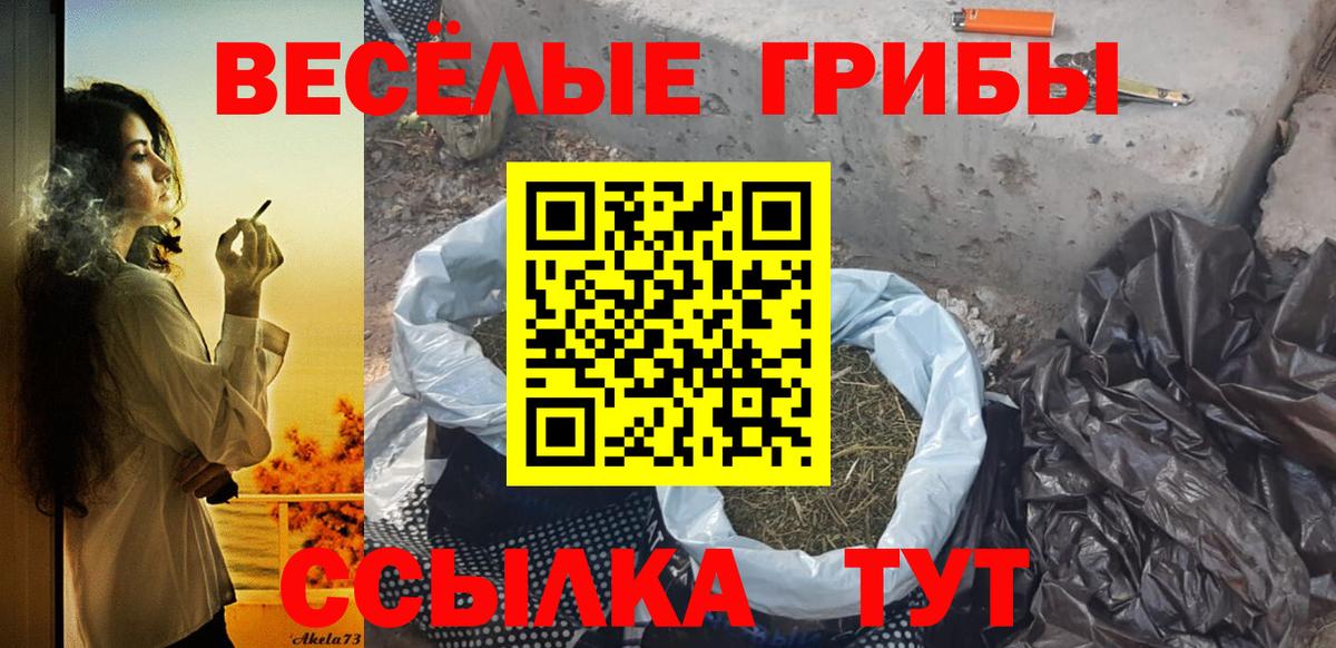 Псилоцибиновые грибы MAGIC MUSHROOMS Лениногорск