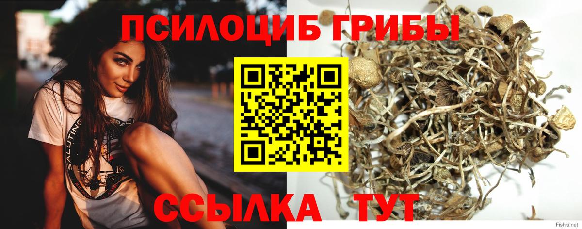 Галлюциногенные грибы ЛСД  Вход с VPN  Лениногорск 